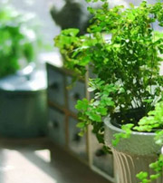 衢州专属于你的开运指南，助你鸿运当头福满身！